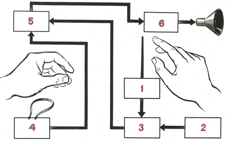 - : 1 -    : 2 -    ; 3 - ; 4 -  ; 5 -  ; 6 -  